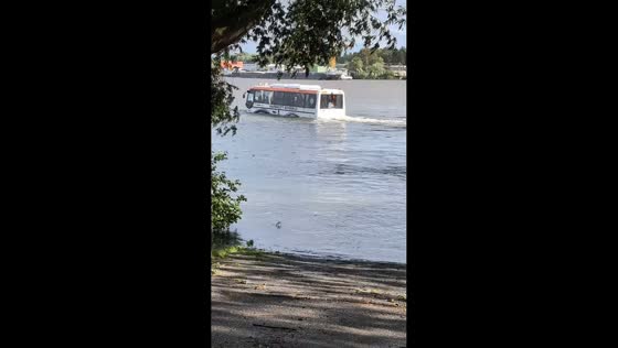 Amphibious river bus drives from street into water in Hamburg, Germany