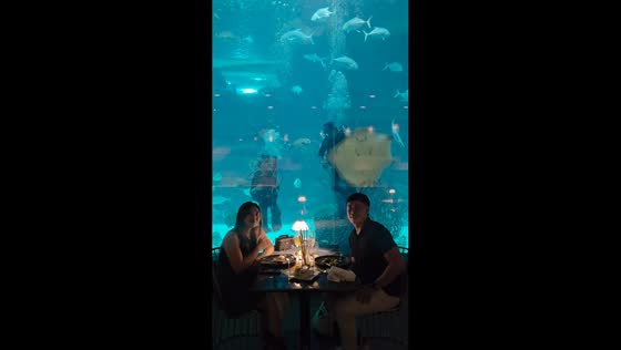 Man proposes during aquarium visit in Cebu, Philippines