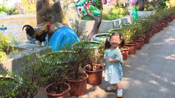 Little girl imitates rooster’s crow and bursts into laughter in Jiangxi, China