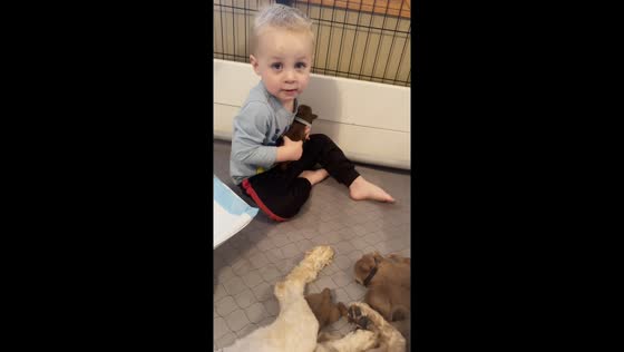 Joyful bond: breeder's child tenderly holds newborn puppy