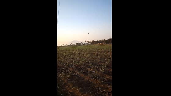 Child carried away by kite rescued in dramatic incident