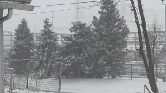Steady snowfall builds up faster than expected in East Toledo, Ohio, USA