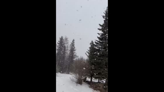 Heavy snowfall and strong winds hit Anchorage during ongoing storms in Alaska, USA