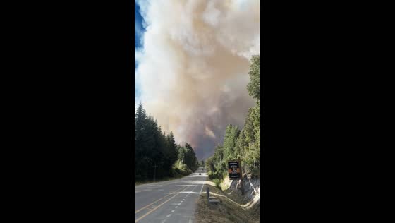 Massive forest fire spreads rapidly in El Bolsón, Argentina