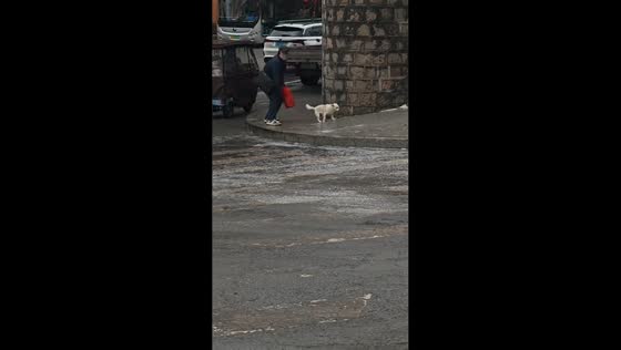 Dog struggles on icy sidewalk in Jilin, China