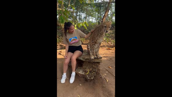 Petting a cheetah in Zanzibar, Tanzania