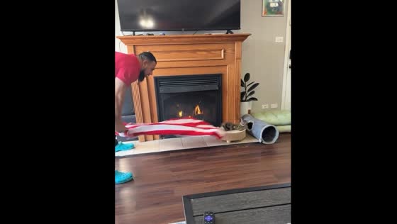 Person pulls cloth from under cat after bath in Chicago