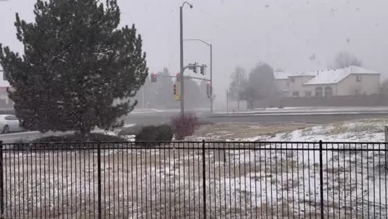 Snowstorm strikes Aurora: heavy band blankets the area