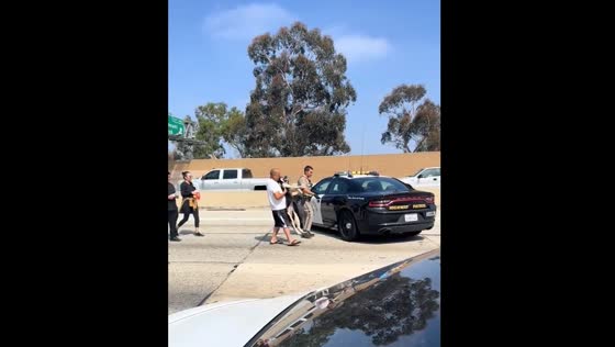 Dog rescued by highway patrol on California State Route 91
