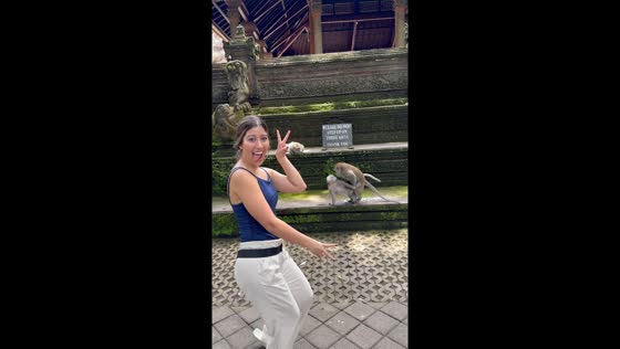 Walking in on monkeys mating in Bali: hilarious encounter captured on video