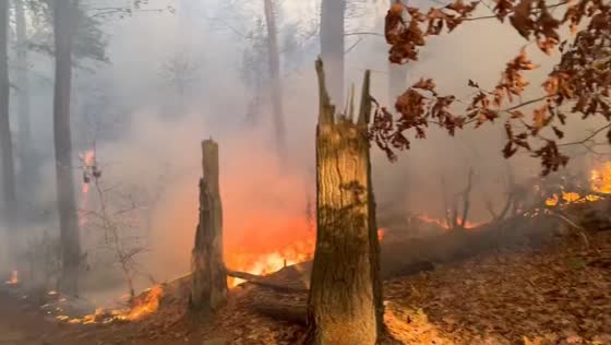 Wildfires in Lynn, Massachusetts burn over 360 acres