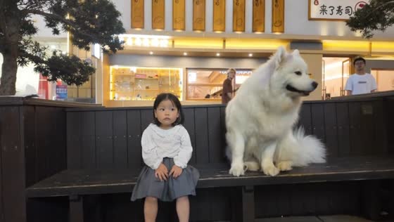 Affectionate dog scoots closer to girl on park bench in Jiangxi, China