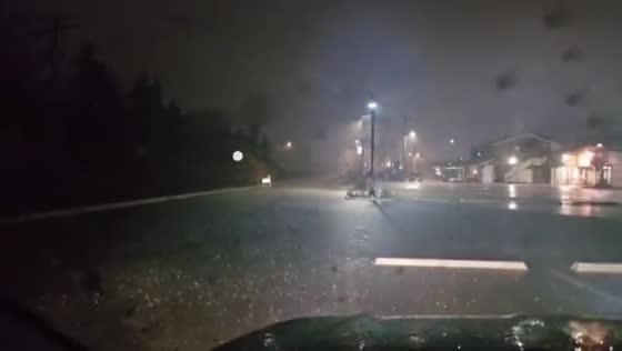 Flash flooding inundates residential streets in Palos Heights, Illinois, United States