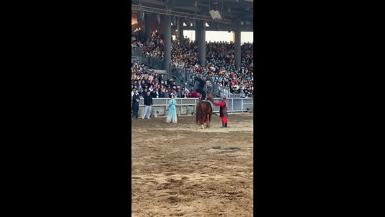 Man performs backflip on horseback in Henan, China