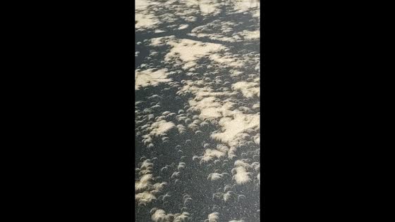 Enchanting solar eclipse shadows in Cancún, Quintana Roo
