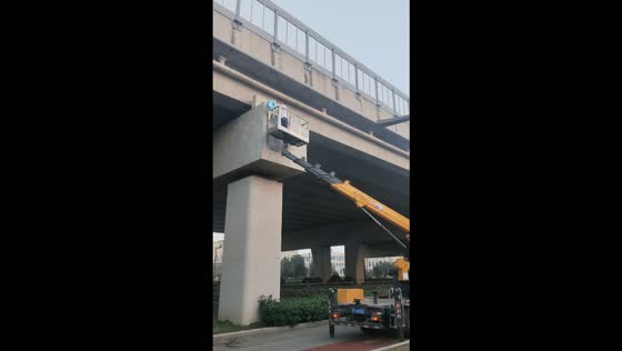 Workers rescue kitten stranded on a high overpass ledge in Shandong, China