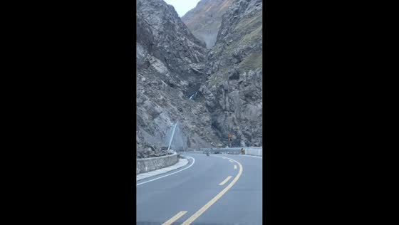 Leopard walks along Duku Highway before moving toward foothills in Xinjiang, China