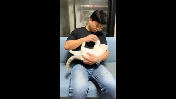 Cat enjoys baby bottle feeding in Shandong, China