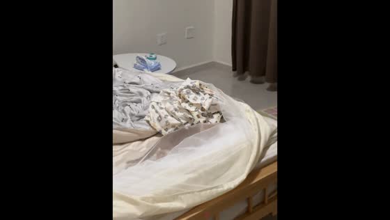 Kitten gets trapped in foldable mosquito net during playful jump in Guangdong, China