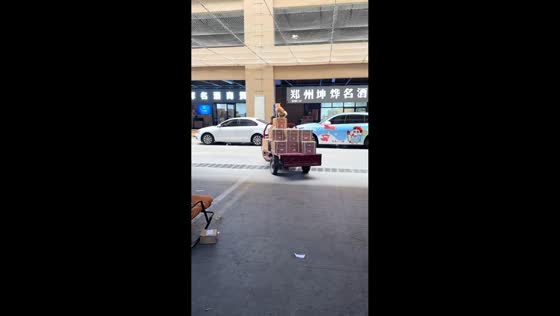 Delivery dog rides atop loaded tricycle in Henan, China