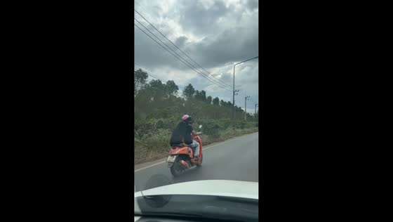 Dog wearing helmet enjoys a calm motorcycle ride in Prachin Buri, Thailand