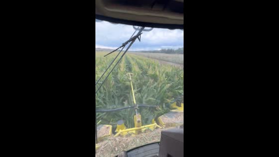 Fascinating forage harvester during corn harvest in Joliet, USA
