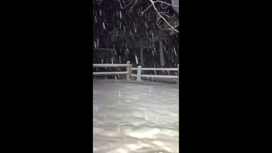 Heavy snowfall blankets during rare spring storm in Woodland Park, Colorado, USA