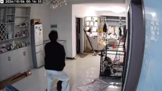 Man accidentally bumps cat’s head on chandelier while excitedly lifting it in Hubei, China