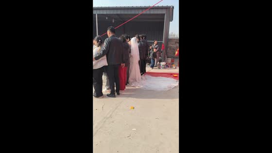 Playful pug photobombs wedding pictures in Jiangsu, China