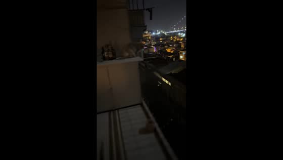 Cat carefully walks along balcony railing in Istanbul, Turkey