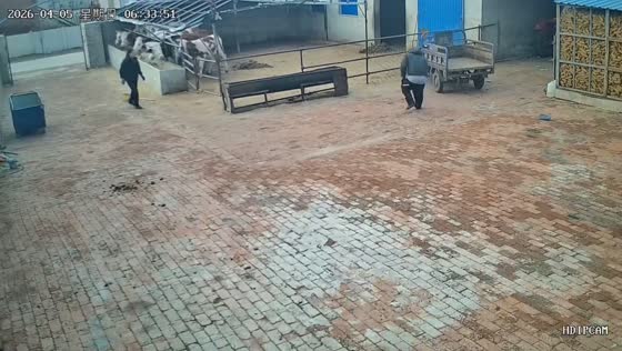 Man struggles with runaway electric cargo tricycle in Liaoning, China