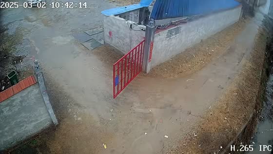 Strong wind blows roof off a house in Henan, China