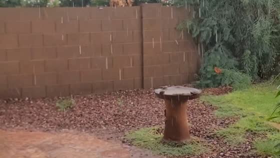 Steady rainfall brings welcome soak in Arizona, USA