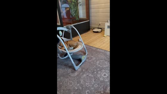 Puppy relaxes on baby rocker in Mikkeli, Finland
