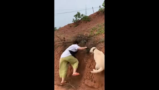 Dog knocks over woman during uphill race in Sichuan, China