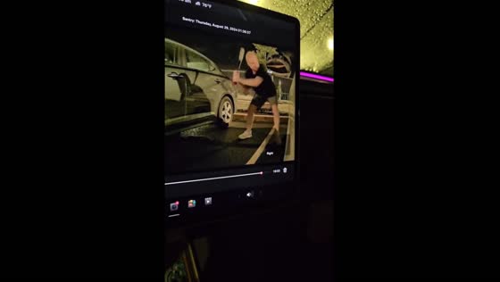 Car smashed by bat in Somerset County, New Jersey