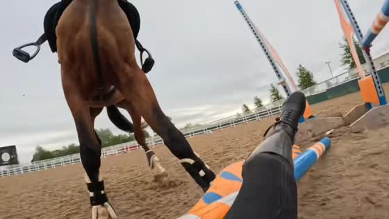 Woman falls off horse before jump in Southam, England