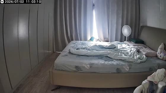 Dog drags banana-shaped bed onto owner's bed in Zhejiang, China