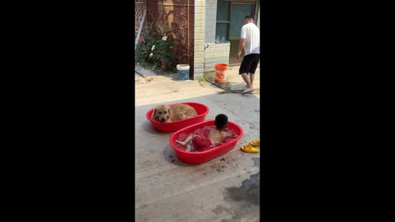 Boy and golden retriever enjoy relaxing backyard soak in Henan, China