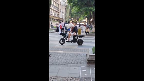 Dog balances on handlebar while riding in Guangdong, China