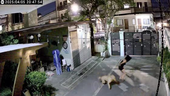 Excited dog rams into woman after running around in Marikina, Philippines