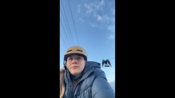 Woman chased by a magpie while cycling in Albury, Australia