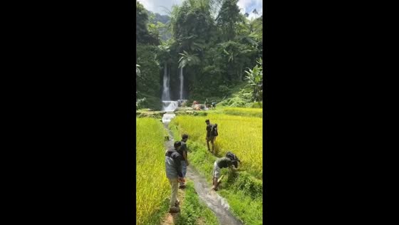 Friend's plunge: wooden bridge mishap at Water Gate Waterfall