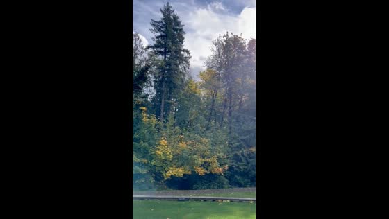 Autumn view from a front porch in Venersborg, Washington, USA