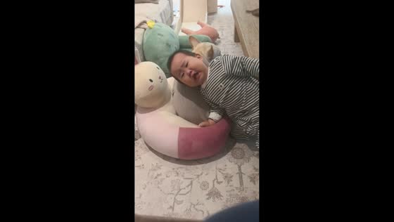 Dog hilariously fights baby for the seat in Liaoning, China