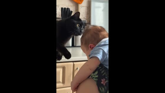 Curious cat taps baby’s head in Poltava, Ukraine