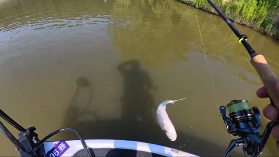 Fish jumps into fisherman’s boat but quickly escapes in Beijing, China