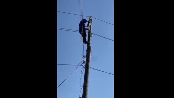 Heroic rescue: Dagestan electrical worker saves cat stuck on power pole