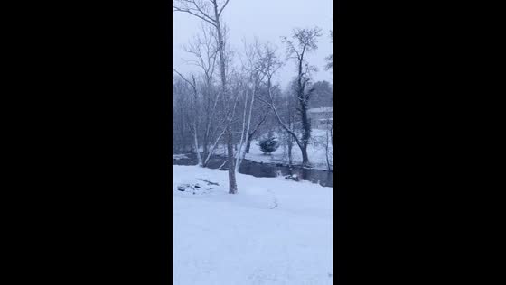 Steady snowfall continues into evening in Morristown, Tennessee, USA