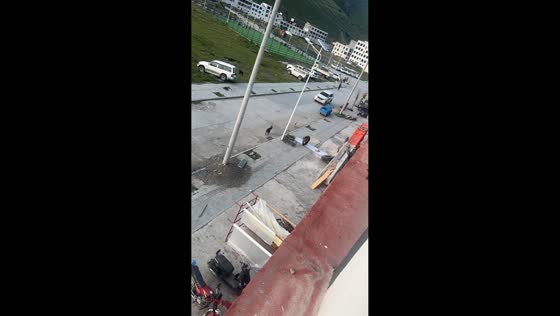 Dog chases Tibetan brown bear away from street in Xizang, China